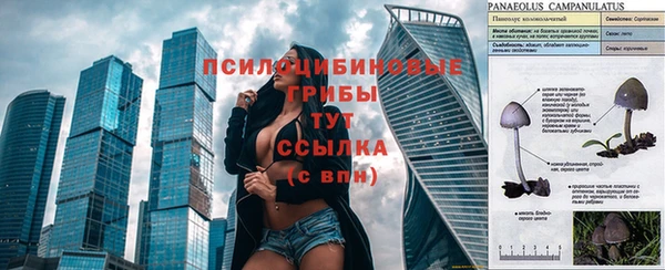 mdma Заволжье