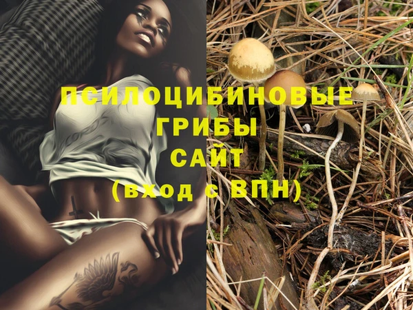 дмт Абинск