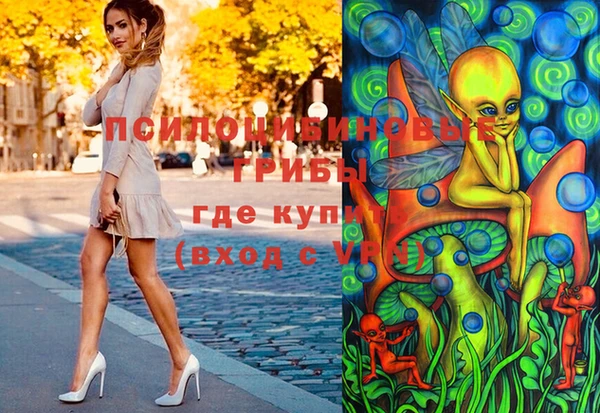 хмурый Алзамай