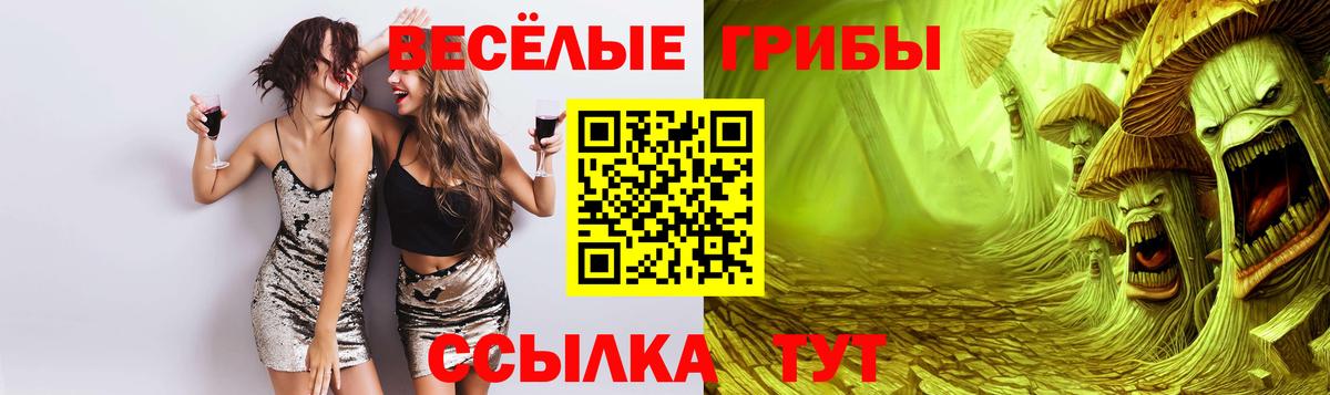 Псилоцибиновые грибы ЛСД  Вход с VPN  Саранск  Псилоцибиновые грибы мицелий 